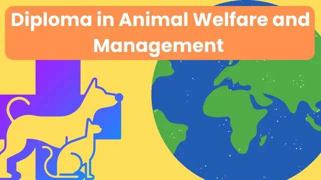 Diploma In Veterinary After 10th